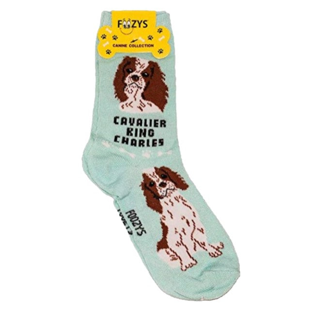 Cavalier King Charles