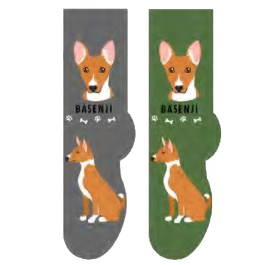 Basenji