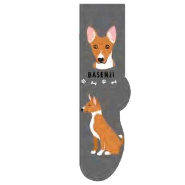 Basenji