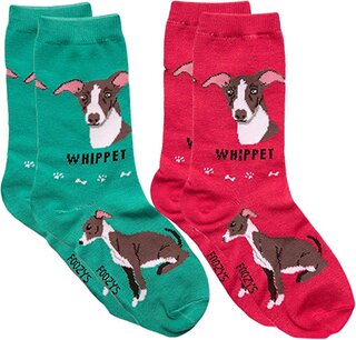 Whippet