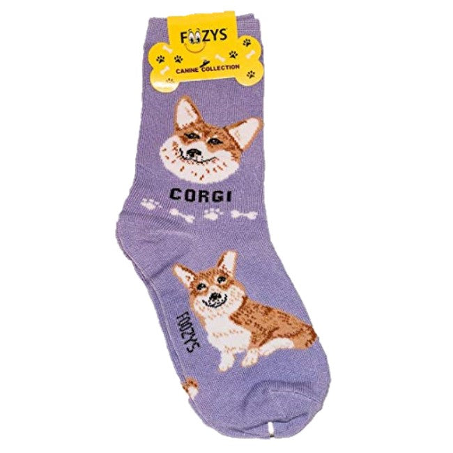 Corgi