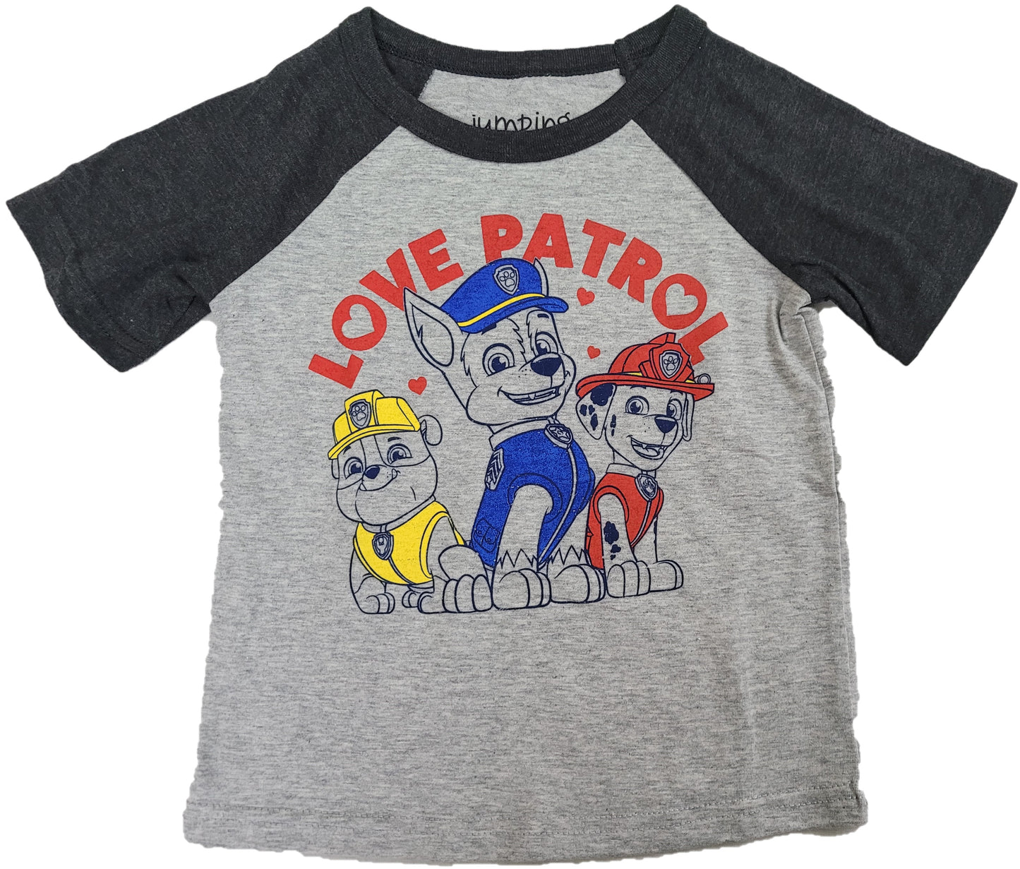 Paw Patrol Love Patrol Boys T-Shirt (Grey)