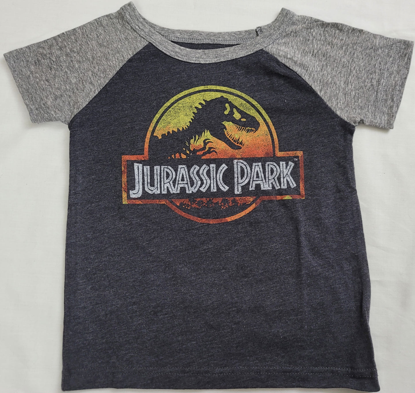 Jurassic Park T-Rex Dinosaur Boys T-Shirt (Grey)