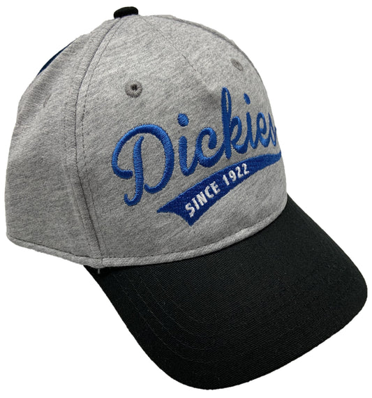 Dickies Since 1922 Logo Boys Gray Hat