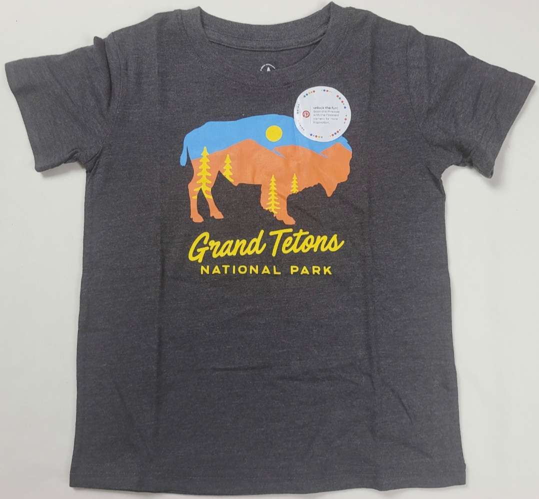 Grand Tetons National Park Wyoming Buffalo Boys T-Shirt (Grey)