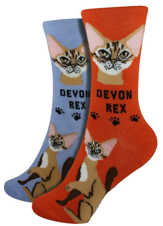 Devon Rex